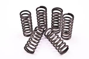 Fast50s - FastMinis Heavy Duty High Temp Clutch Springs - KLX110 / KLX110-L / DRZ110