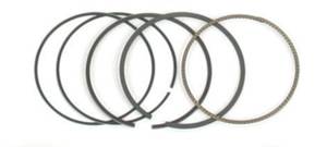 Takegawa - Takegawa Piston Ring Set KLX110 / DRZ110 / KSR110 (59mm/138.3cc)