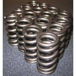 Takegawa - Takegawa R-Stage Heavy Duty Valve Springs