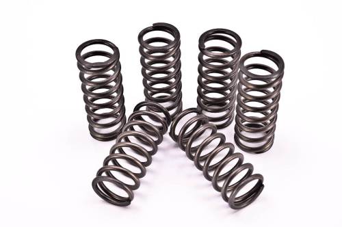 Fast50s - FastMinis Heavy Duty High Temp Clutch Springs - KLX110 / KLX110-L / DRZ110 - Image 1