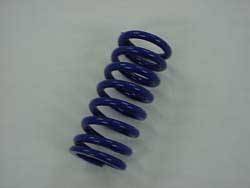 Fast50s Shock Spring - TTR50